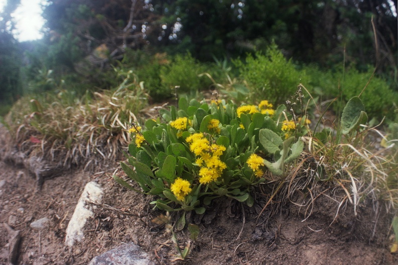 Baker Gulch Trail 6.jpg